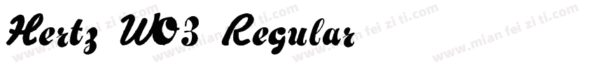 Hertz W03 Regular字体转换